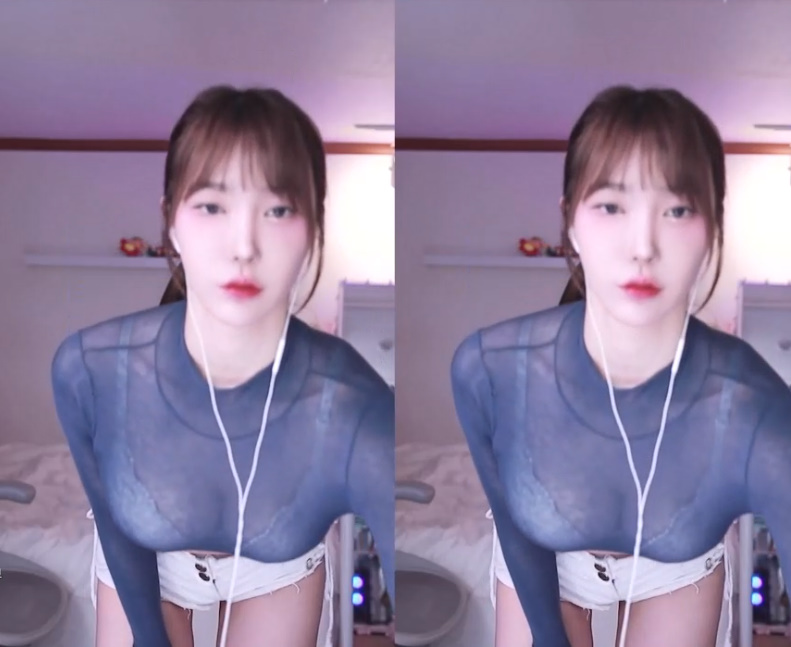 겨우디 레이스 브라 다 비치는 시스루